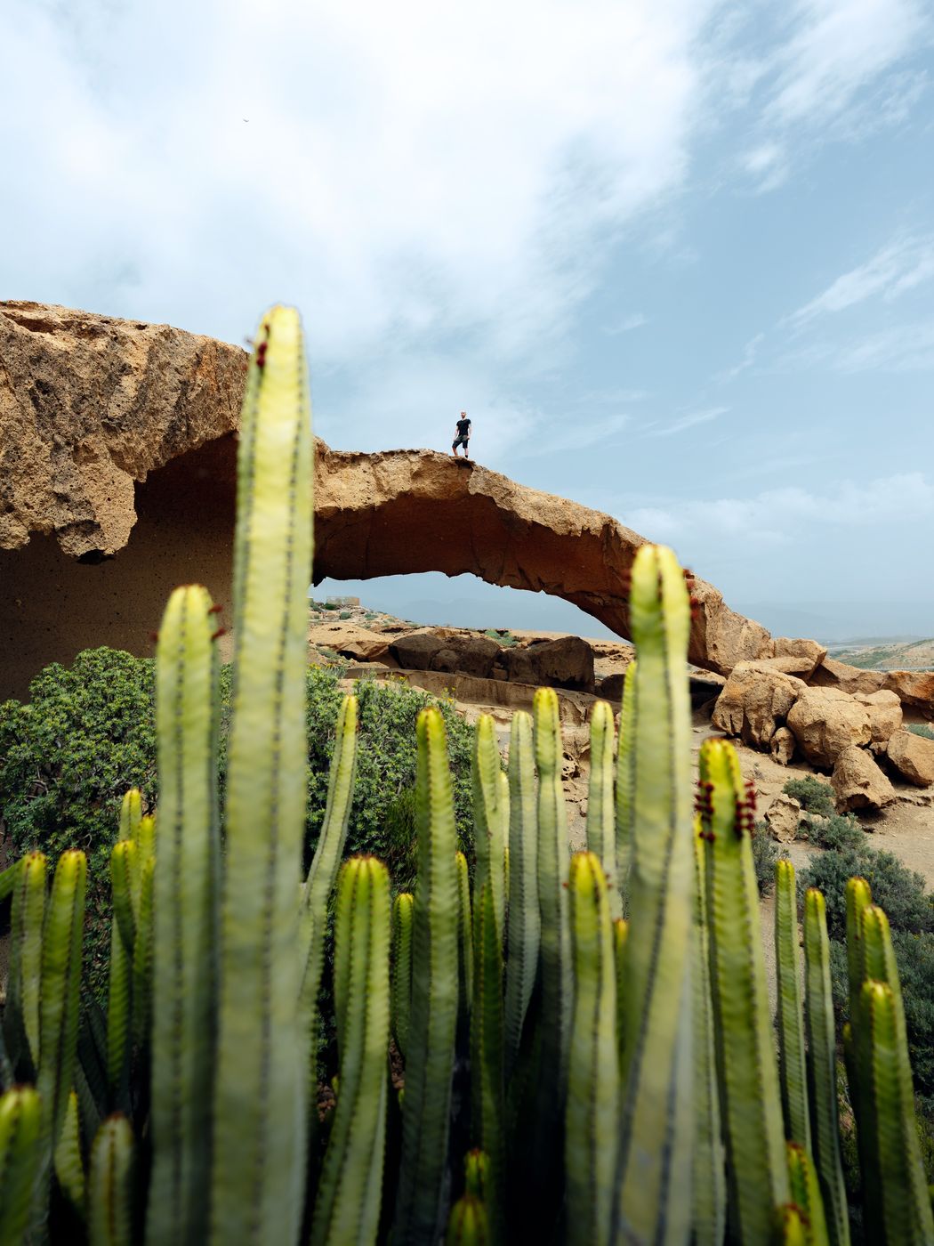 Cactus in front of a natural rock arch with a hiker on top