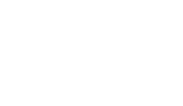 Apidura