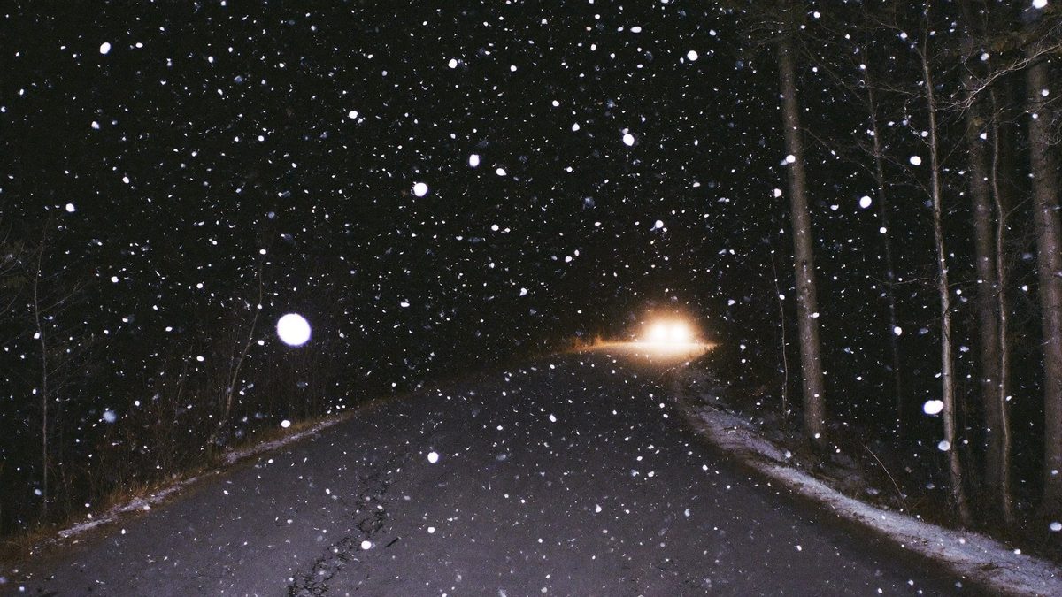 Moodboard: snow falling on a forest road at night